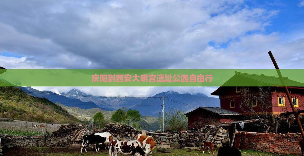 庆阳到西安大明宫遗址公园自由行