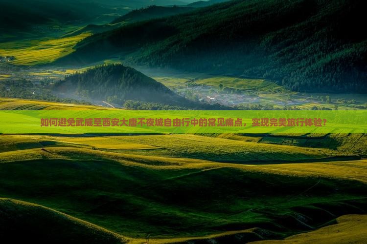 如何避免武威至西安大唐不夜城自由行中的常见痛点，实现完美旅行体验？