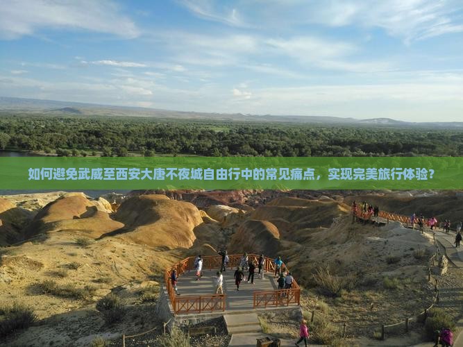 如何避免武威至西安大唐不夜城自由行中的常见痛点，实现完美旅行体验？