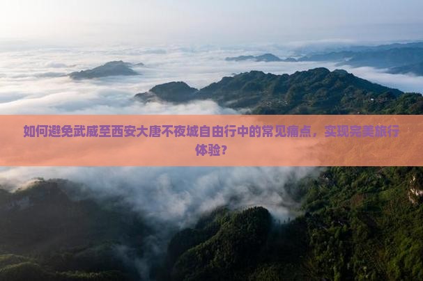 如何避免武威至西安大唐不夜城自由行中的常见痛点，实现完美旅行体验？