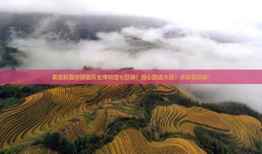 莱芜到西安陕西历史博物馆七日游？担心路途太远？快来看攻略！