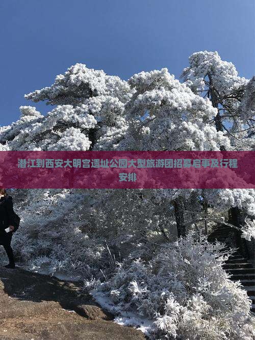 潜江到西安大明宫遗址公园大型旅游团招募启事及行程安排