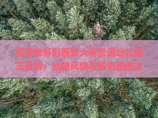 克孜勒苏到西安大明宫遗址公园三日游：丝路风情与历史遗迹之旅
