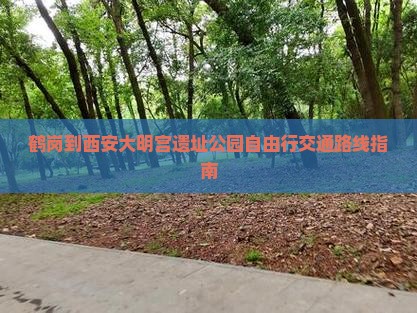 鹤岗到西安大明宫遗址公园自由行交通路线指南