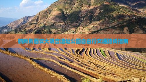 鹤岗到西安大明宫遗址公园自由行交通路线指南