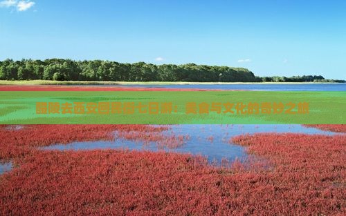醴陵去西安回民街七日游：美食与文化的奇妙之旅