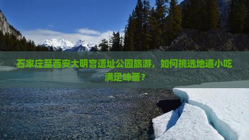 石家庄至西安大明宫遗址公园旅游，如何挑选地道小吃满足味蕾？