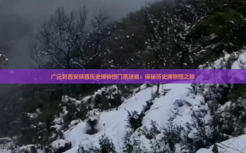 广元到西安陕西历史博物馆门票攻略：探秘历史博物馆之旅