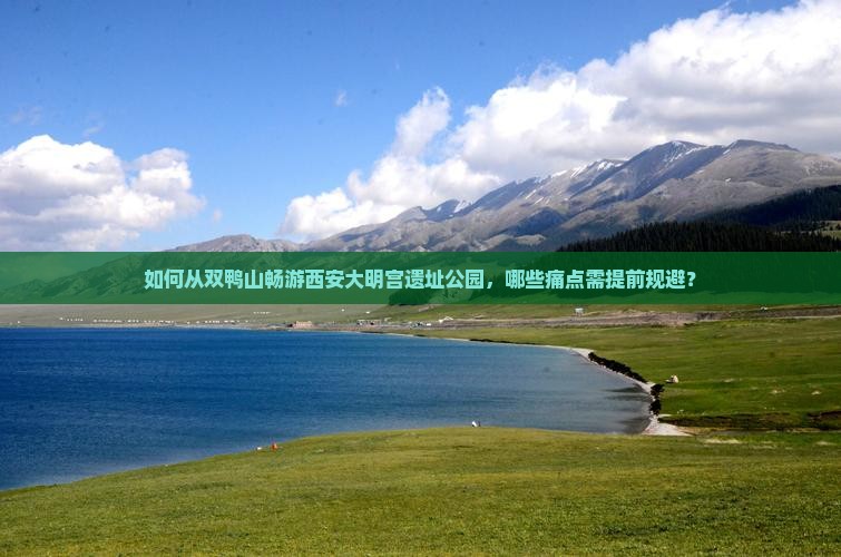 如何从双鸭山畅游西安大明宫遗址公园，哪些痛点需提前规避？