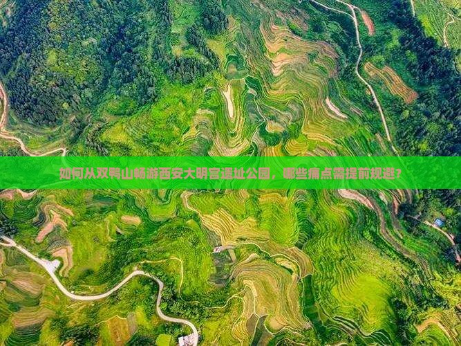 如何从双鸭山畅游西安大明宫遗址公园，哪些痛点需提前规避？