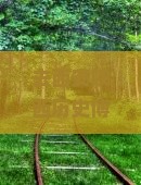 去西安陕西历史博物馆旅游？昭通人关心的门票价格、开放时间、预约方式都在这里！
