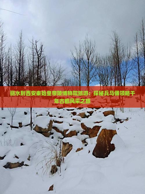 丽水到西安秦始皇帝陵博物院旅游：探秘兵马俑领略千年古都风采之旅