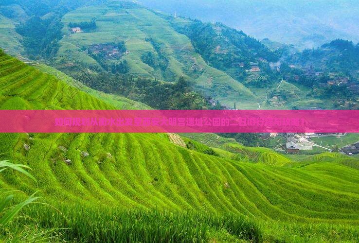 如何规划从衡水出发至西安大明宫遗址公园的二日游行程与攻略？