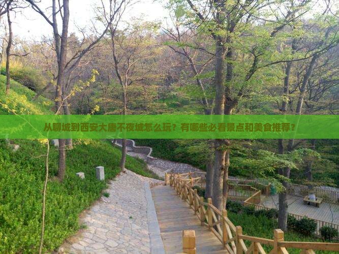从聊城到西安大唐不夜城怎么玩？有哪些必看景点和美食推荐？
