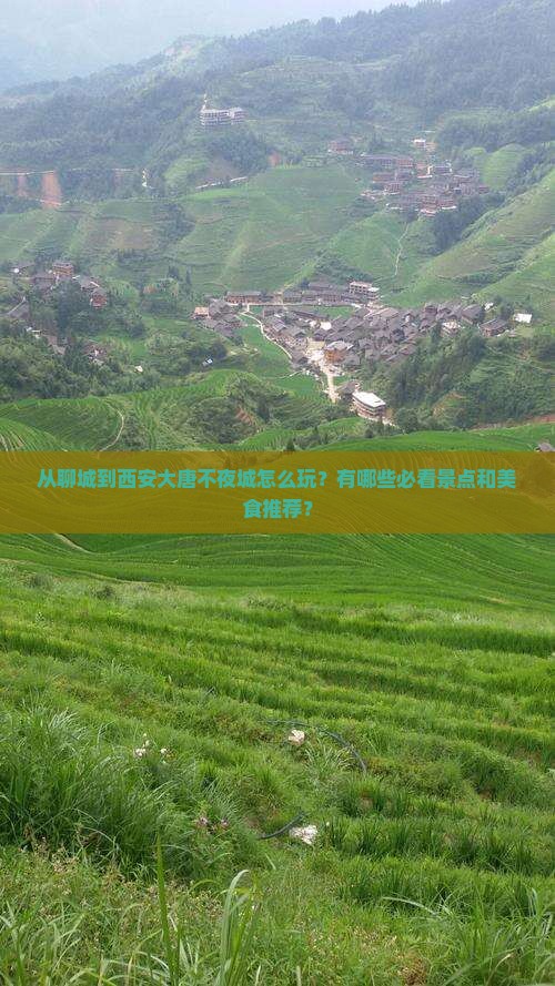 从聊城到西安大唐不夜城怎么玩？有哪些必看景点和美食推荐？