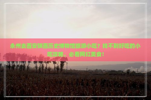 永州去西安陕西历史博物馆旅游小吃？找不到好吃的小吃攻略，必看网红美食！