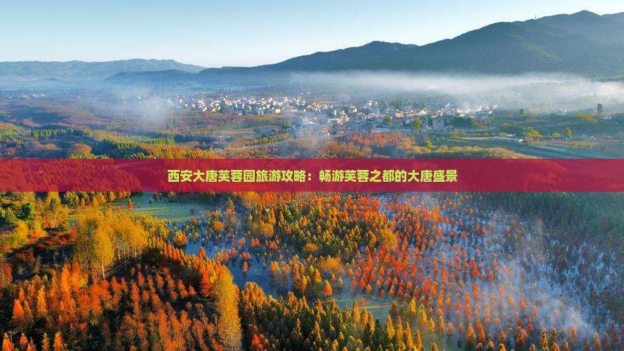 西安大唐芙蓉园旅游攻略：畅游芙蓉之都的大唐盛景