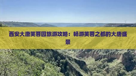 西安大唐芙蓉园旅游攻略：畅游芙蓉之都的大唐盛景