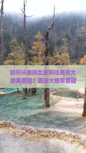 如何从曲靖出发前往西安大唐芙蓉园？西安大唐芙蓉园有哪些必看景点与攻略？