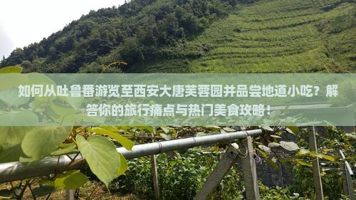 如何从吐鲁番游览至西安大唐芙蓉园并品尝地道小吃？解答你的旅行痛点与热门美食攻略！