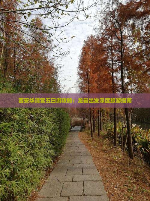 西安华清宫五日游攻略：龙岩出发深度旅游指南