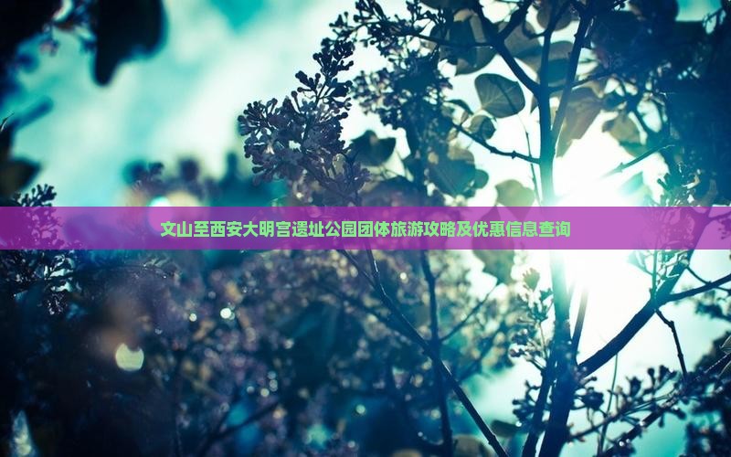 文山至西安大明宫遗址公园团体旅游攻略及优惠信息查询