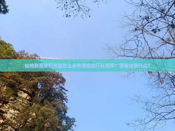仙桃到西安回民街怎么卓有哪些旅行社推荐？需要注意什么？