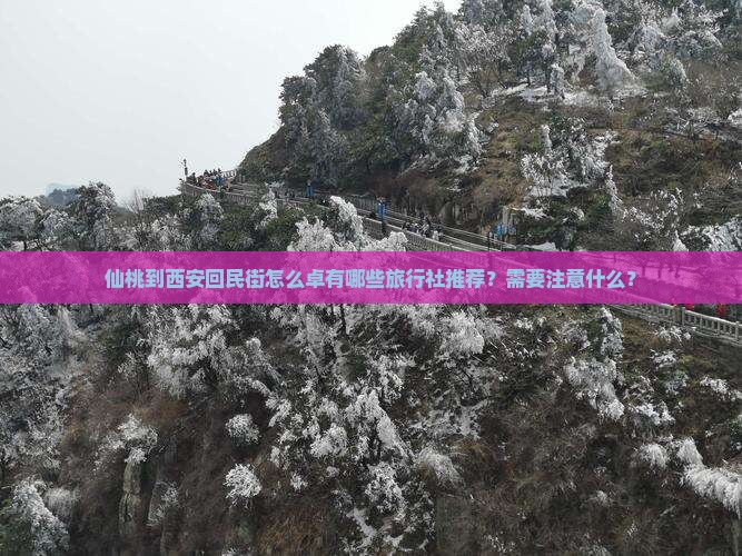 仙桃到西安回民街怎么卓有哪些旅行社推荐？需要注意什么？