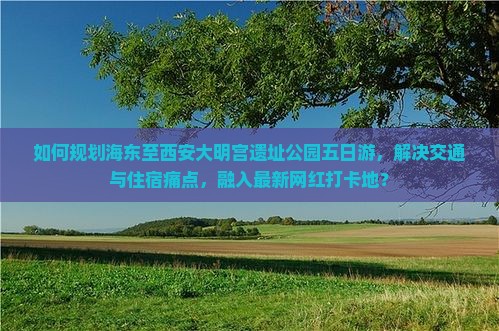 如何规划海东至西安大明宫遗址公园五日游，解决交通与住宿痛点，融入最新网红打卡地？