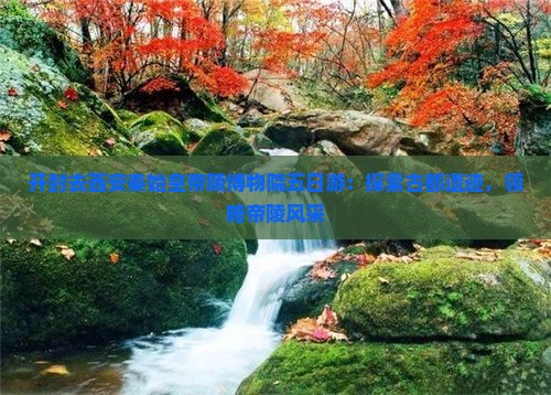 开封去西安秦始皇帝陵博物院五日游：探索古都遗迹，领略帝陵风采