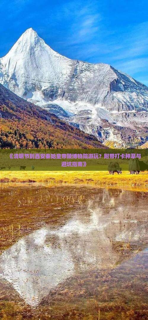 《清明节到西安秦始皇帝陵博物院游玩？附带打卡种草与避坑指南》