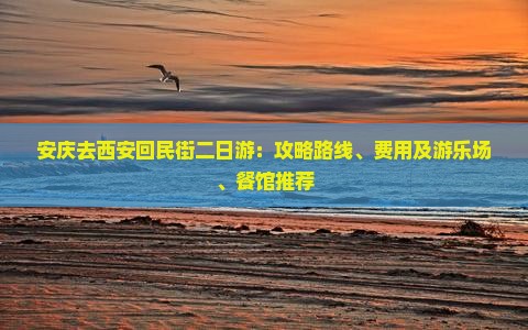 安庆去西安回民街二日游：攻略路线、费用及游乐场、餐馆推荐