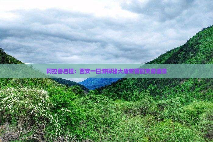 阿拉善启程：西安一日游探秘大唐芙蓉园芙蓉盛景