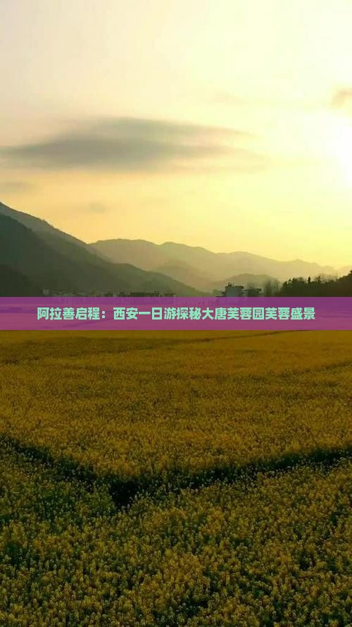阿拉善启程：西安一日游探秘大唐芙蓉园芙蓉盛景
