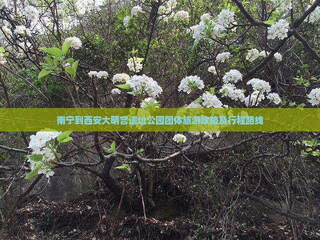 南宁到西安大明宫遗址公园团体旅游攻略及行程路线