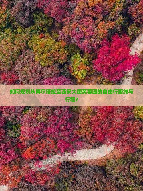 如何规划从博尔塔拉至西安大唐芙蓉园的自由行路线与行程？