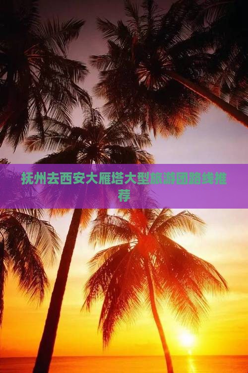 抚州去西安大雁塔大型旅游团路线推荐