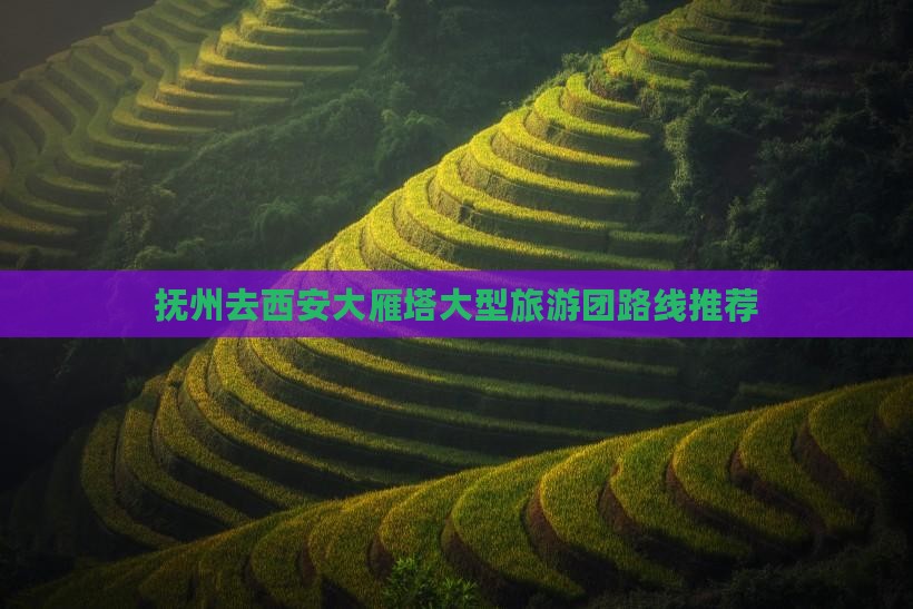 抚州去西安大雁塔大型旅游团路线推荐