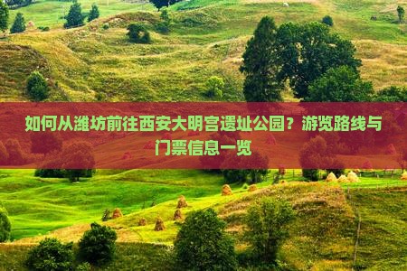 如何从潍坊前往西安大明宫遗址公园？游览路线与门票信息一览