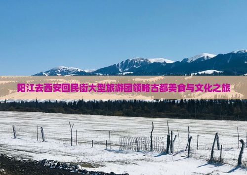 阳江去西安回民街大型旅游团领略古都美食与文化之旅