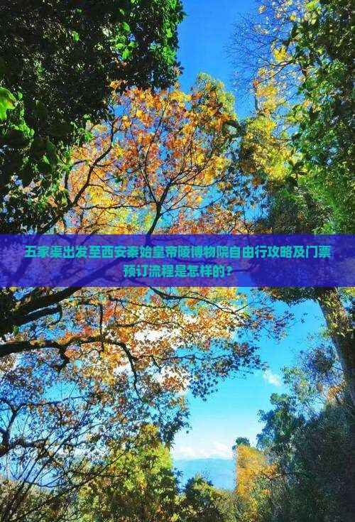 五家渠出发至西安秦始皇帝陵博物院自由行攻略及门票预订流程是怎样的？