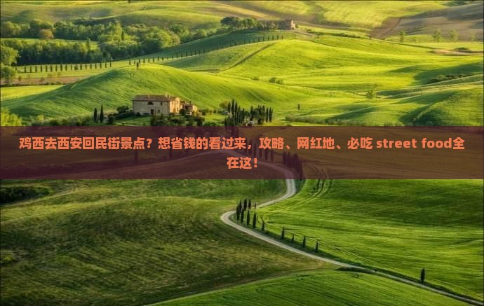 鸡西去西安回民街景点？想省钱的看过来，攻略、网红地、必吃 street food全在这！