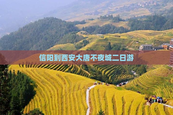 信阳到西安大唐不夜城二日游
