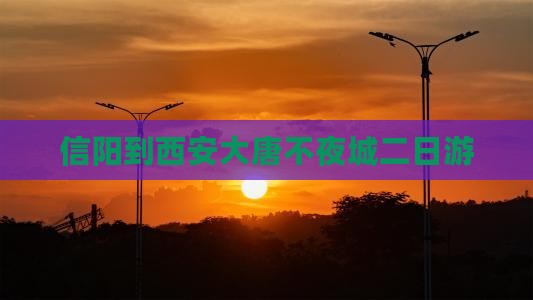 信阳到西安大唐不夜城二日游