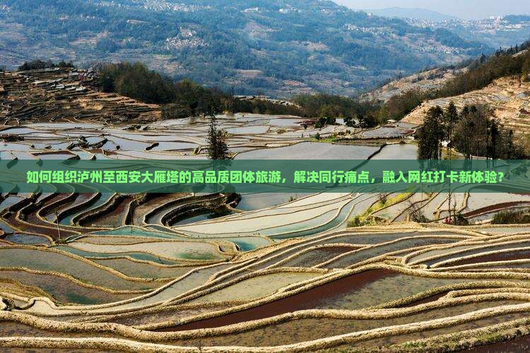 如何组织泸州至西安大雁塔的高品质团体旅游，解决同行痛点，融入网红打卡新体验？