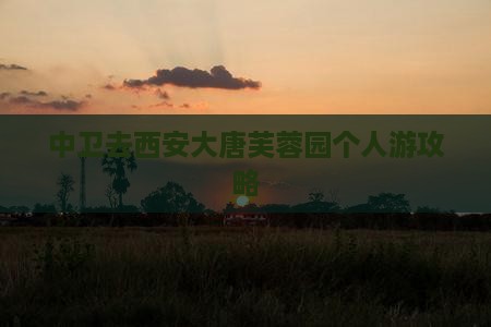 中卫去西安大唐芙蓉园个人游攻略