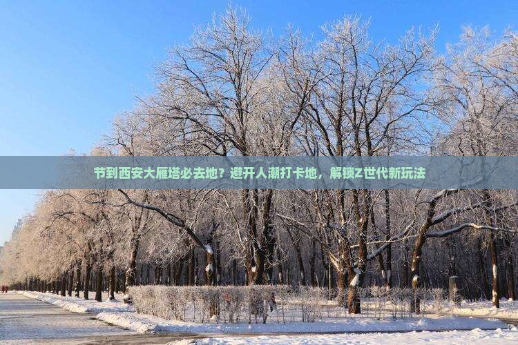 节到西安大雁塔必去地？避开人潮打卡地，解锁Z世代新玩法