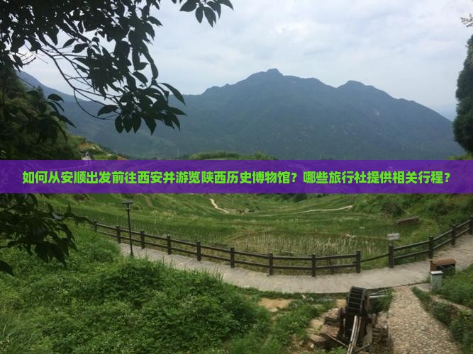 如何从安顺出发前往西安并游览陕西历史博物馆？哪些旅行社提供相关行程？