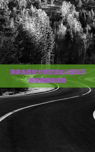 清徐去西安大明宫遗址公园五日游经典路线攻略