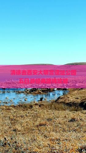 清徐去西安大明宫遗址公园五日游经典路线攻略